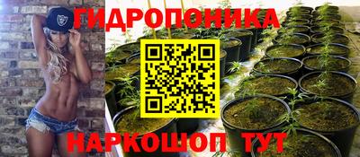 jwh Ставрополь