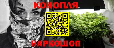 jwh Ставрополь