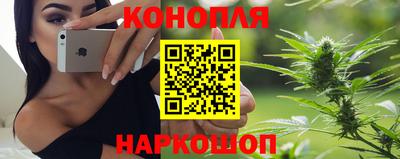 jwh Ставрополь