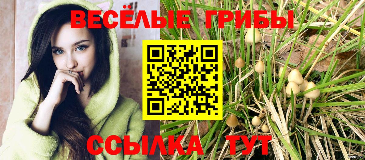 Псилоцибиновые грибы ЛСД  Вход с VPN  цены   Павловский Посад  Галлюциногенные грибы GOLDEN TEACHER 