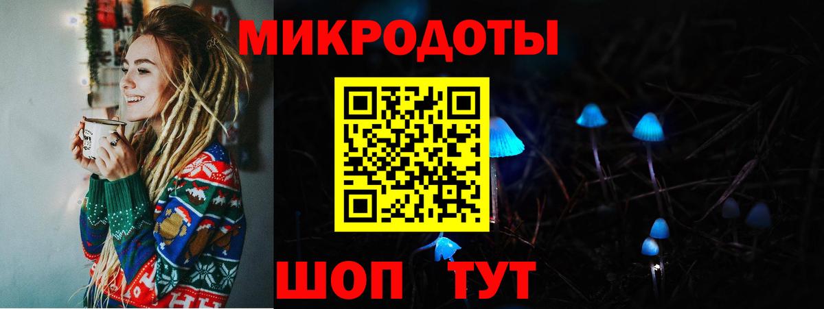 Псилоцибиновые грибы мицелий Павловский Посад